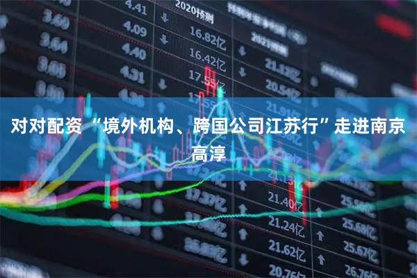 对对配资 “境外机构、跨国公司江苏行”走进南京高淳
