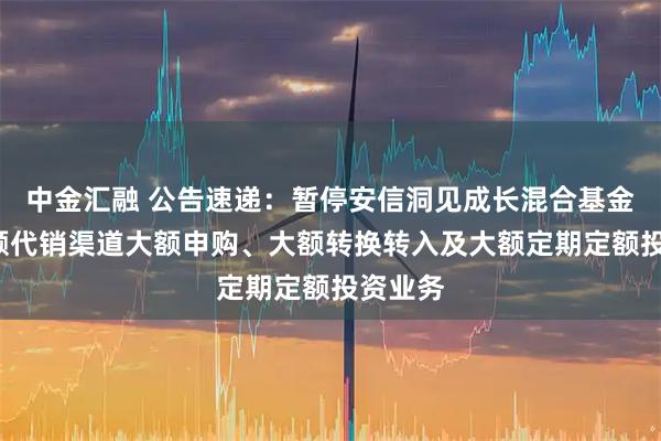 中金汇融 公告速递：暂停安信洞见成长混合基金C类份额代销渠道大额申购、大额转换转入及大额定期定额投资业务