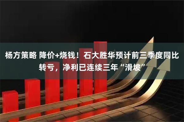 杨方策略 降价+烧钱！石大胜华预计前三季度同比转亏，净利已连续三年“滑坡”