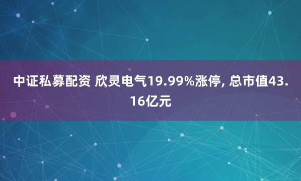 中证私募配资 欣灵电气19.99%涨停, 总市值43.16亿元