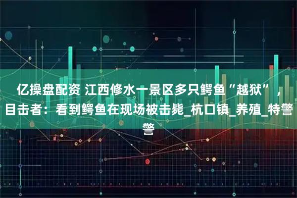 亿操盘配资 江西修水一景区多只鳄鱼“越狱” ,目击者:看到鳄鱼在现场被击毙_杭口镇_养殖_特警